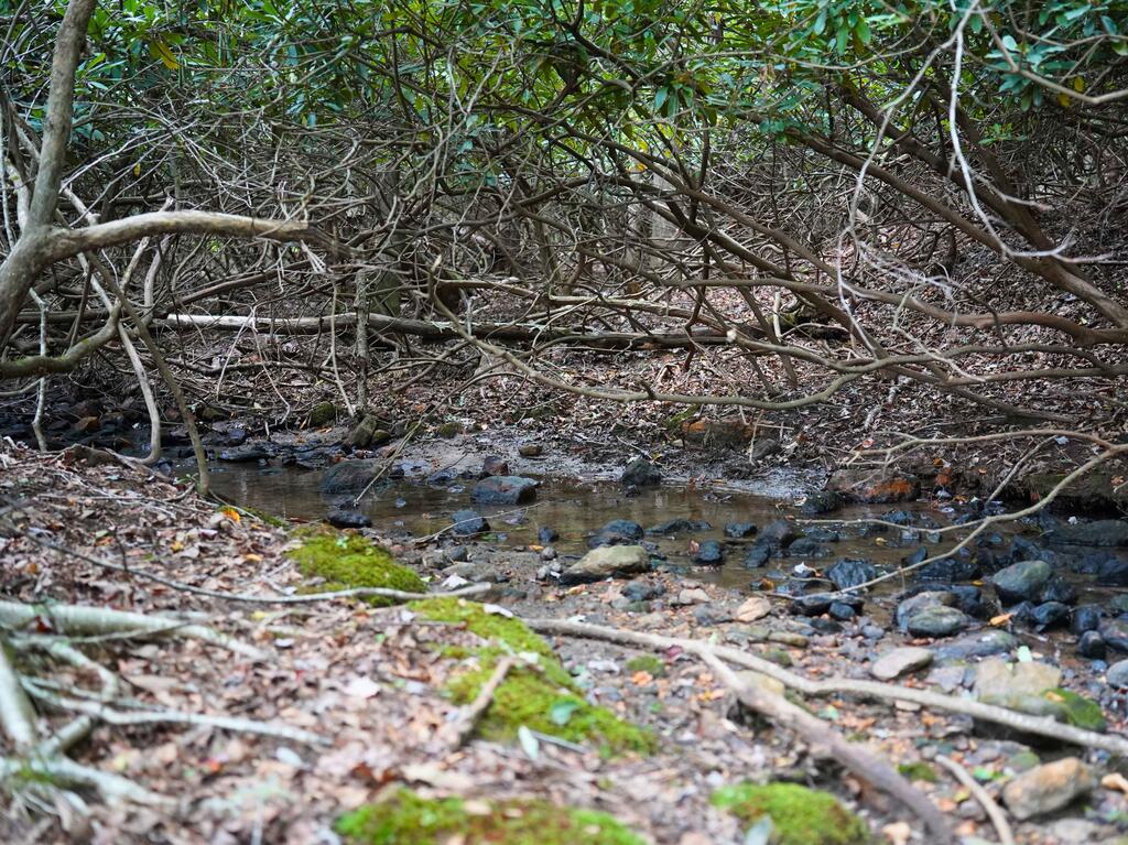 Photo of TBD Shady Grove Road NW #n/a, Willis, VA 24380 (MLS # 111737)
