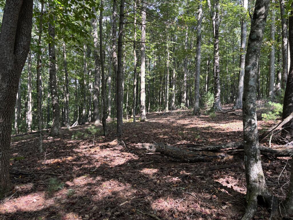 Photo of 11 Cove Lane #11, Woodlawn, VA 24381 (MLS # 112173)