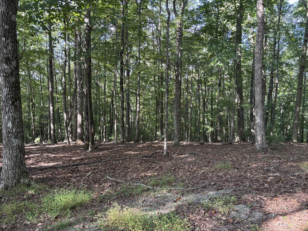 Photo of 11 Cove Lane #11, Woodlawn, VA 24381 (MLS # 112173)