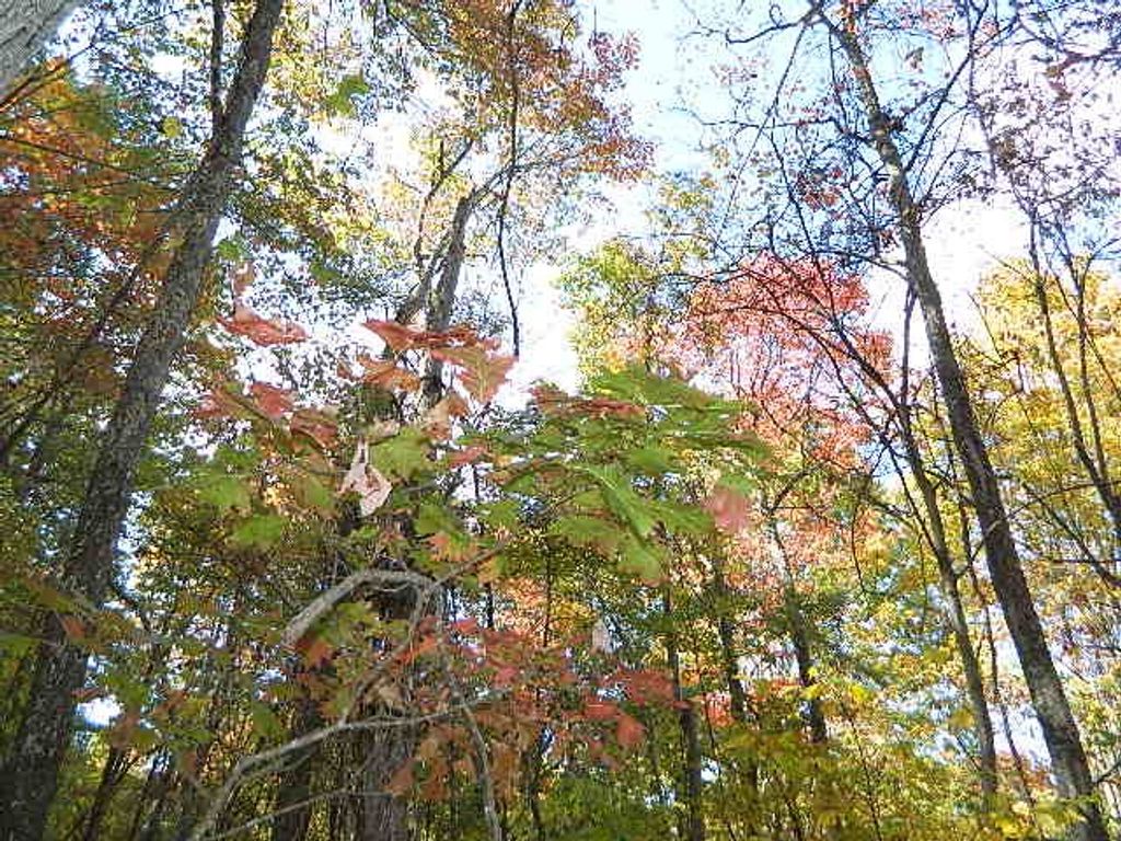 Photo of TBD Granite Lane #80, Chilhowie, VA 24319 (MLS # 103822)