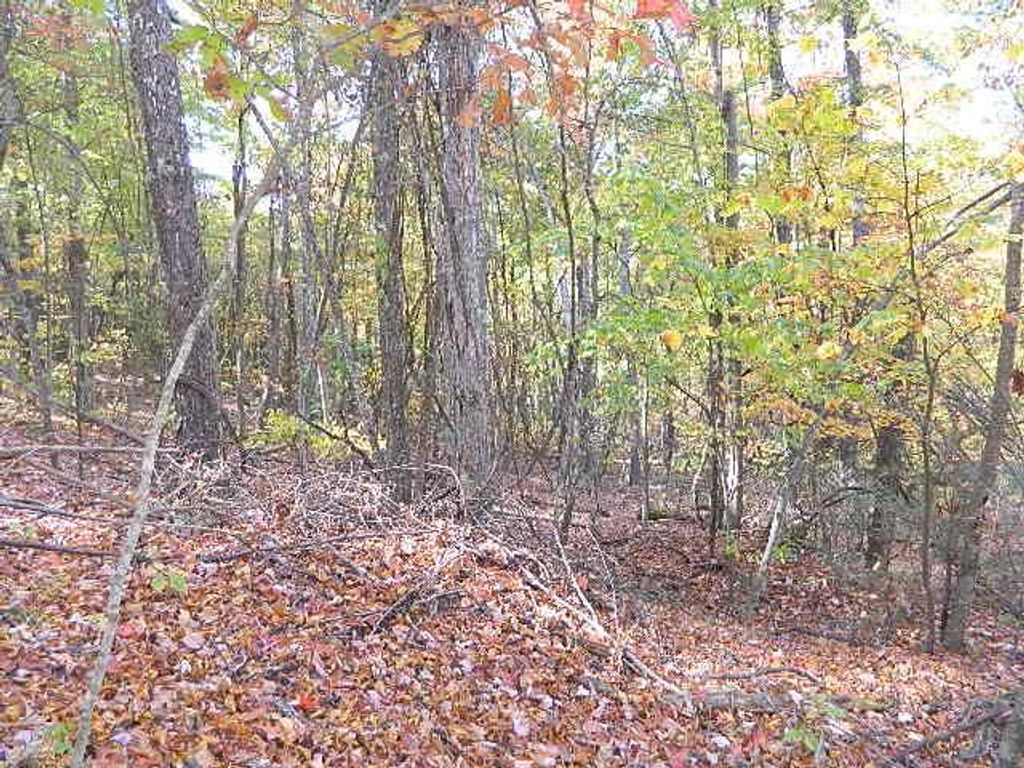 Photo of TBD Granite Lane #80, Chilhowie, VA 24319 (MLS # 103822)