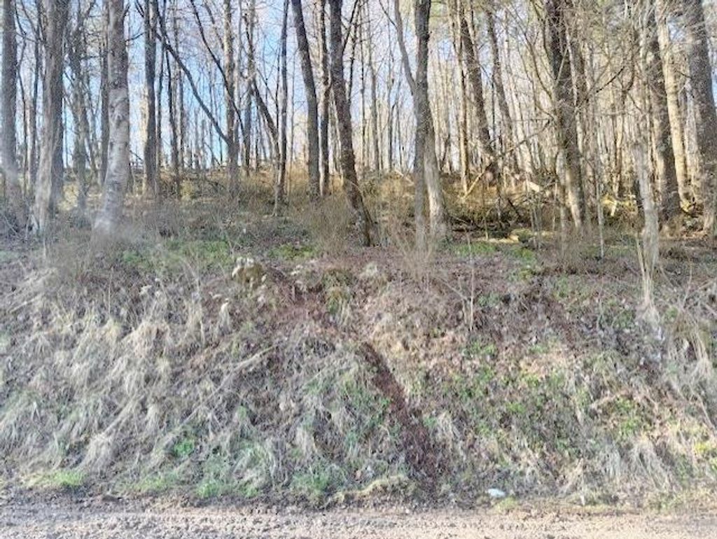 Photo of TBD Old King Rd #4, Rural Retreat, VA 24368 (MLS # 109281)