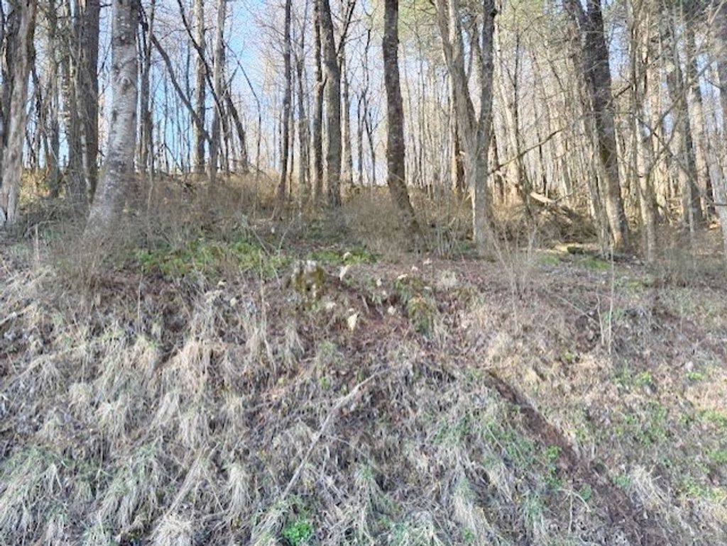 Photo of TBD Old King Rd #4, Rural Retreat, VA 24368 (MLS # 109281)