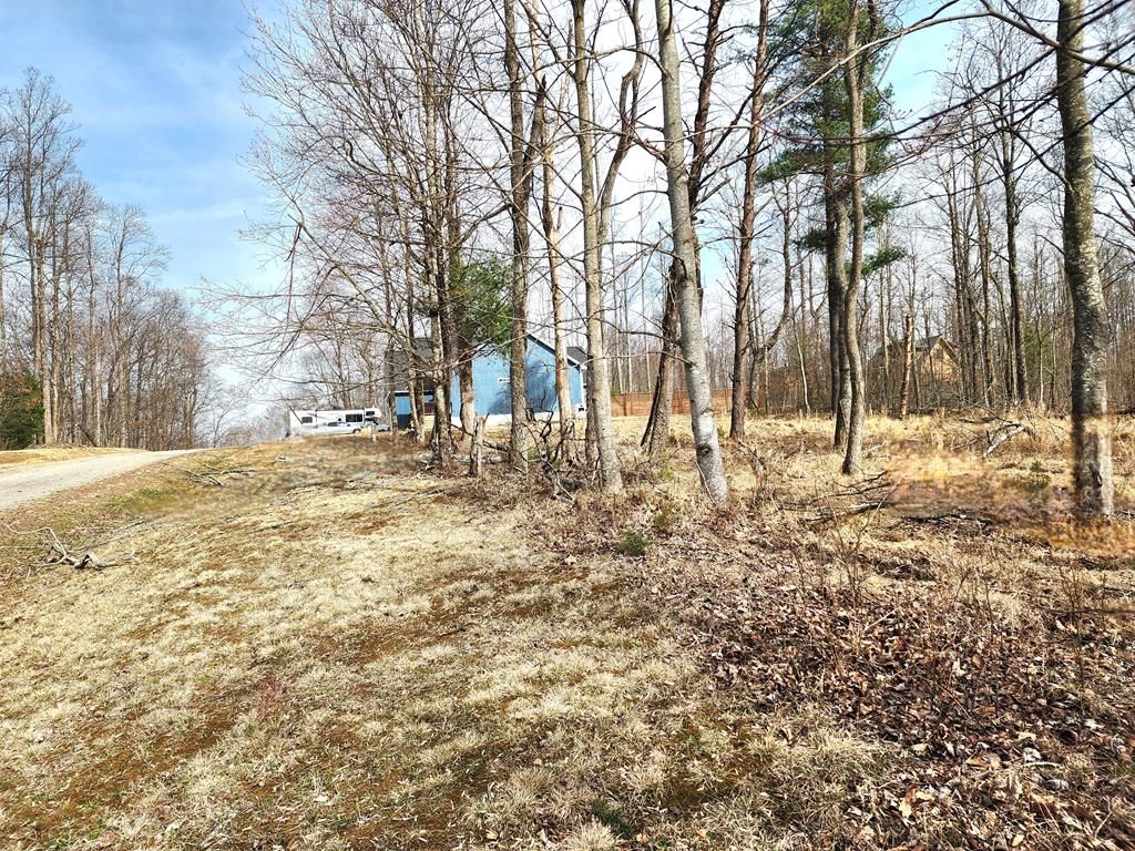 Photo of 587 Seven Springs Pkwy, Fancy Gap, VA 24328 (MLS # 109350)