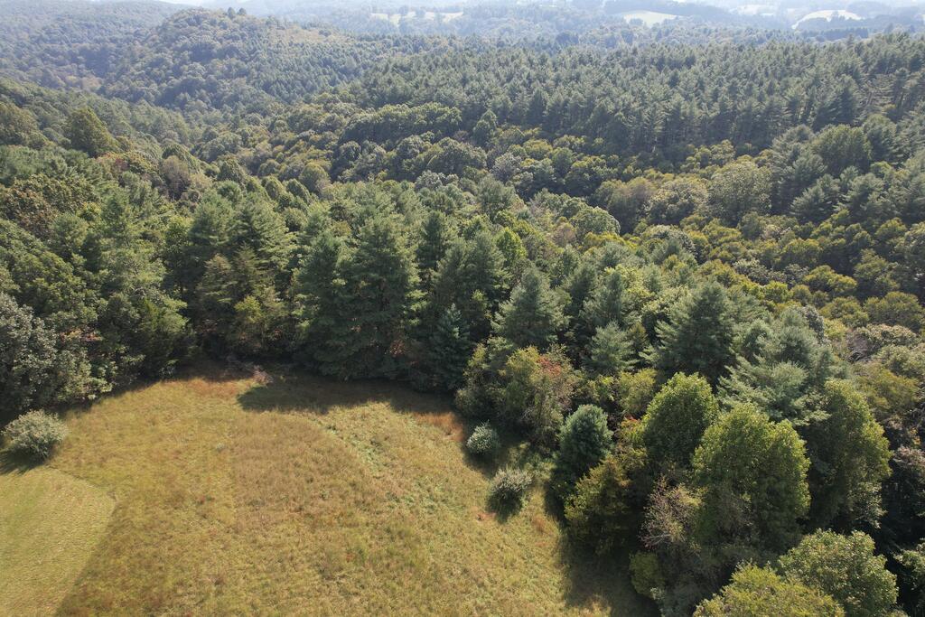 Photo of 132 Lindale Lane #N/A, Woodlawn, VA 24381 (MLS # 111995)
