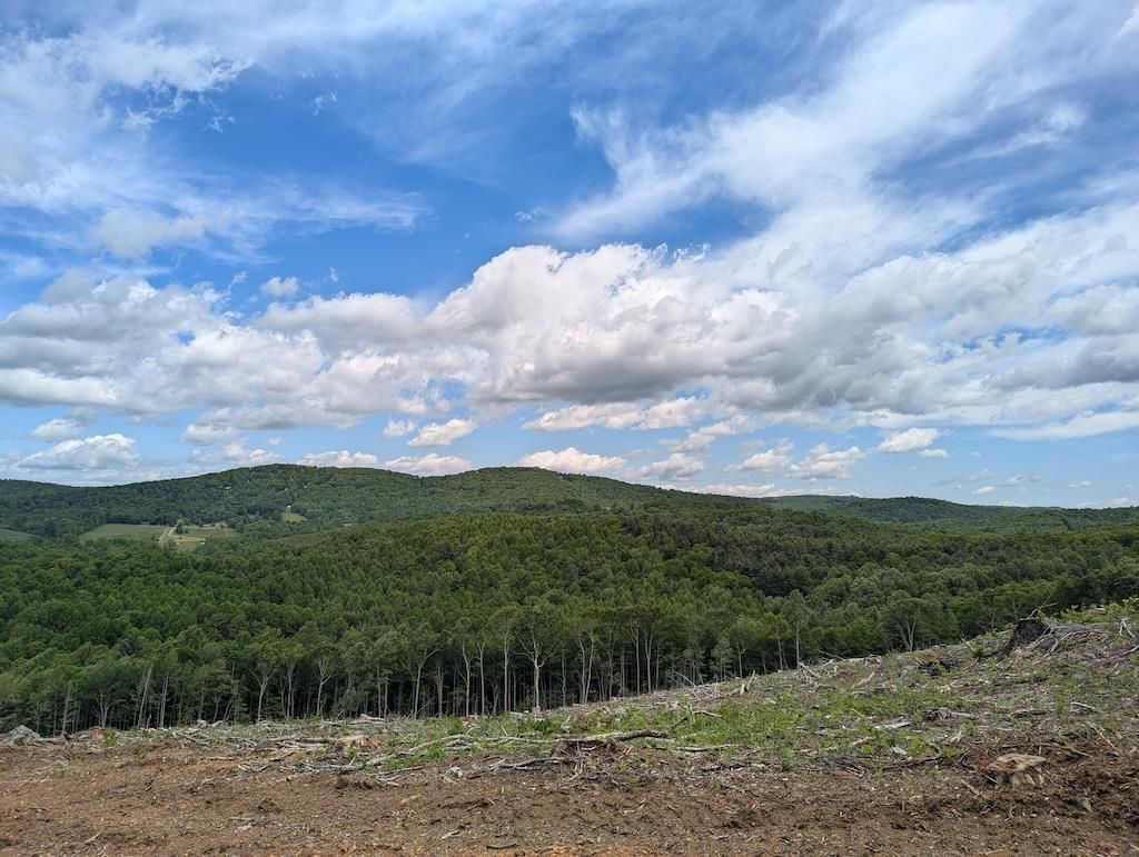Photo of TBD Parkway Church Rd #77-141, Meadows of Dan, VA 24120 (MLS # 100782)