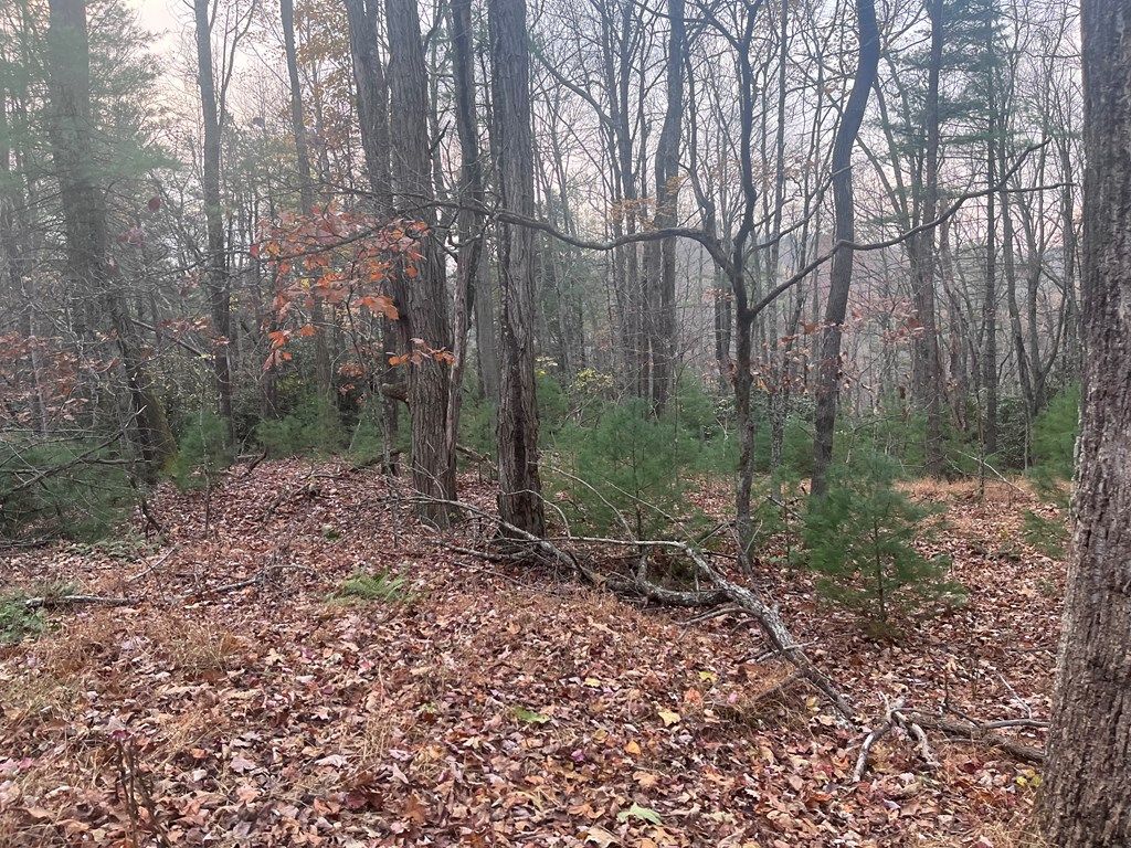 Photo of 129614 Rock Ledge Tr #129c-6-c14, Fancy Gap, VA 24328 (MLS # 104057)