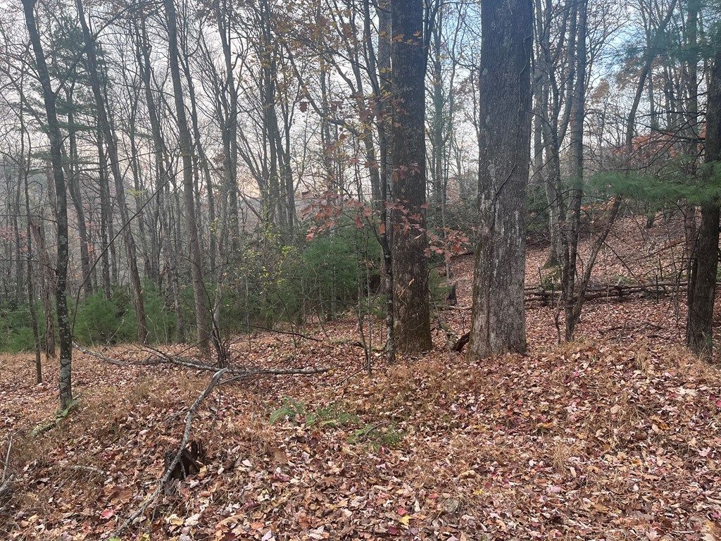 Photo of 129614 Rock Ledge Tr #129c-6-c14, Fancy Gap, VA 24328 (MLS # 104057)