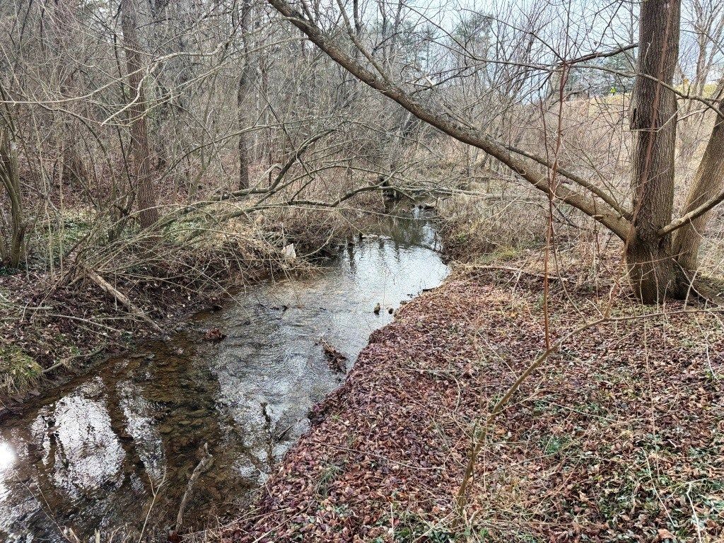 Photo of 41 E Blue Grass Trl #33, Bland, VA 24315 (MLS # 104567)