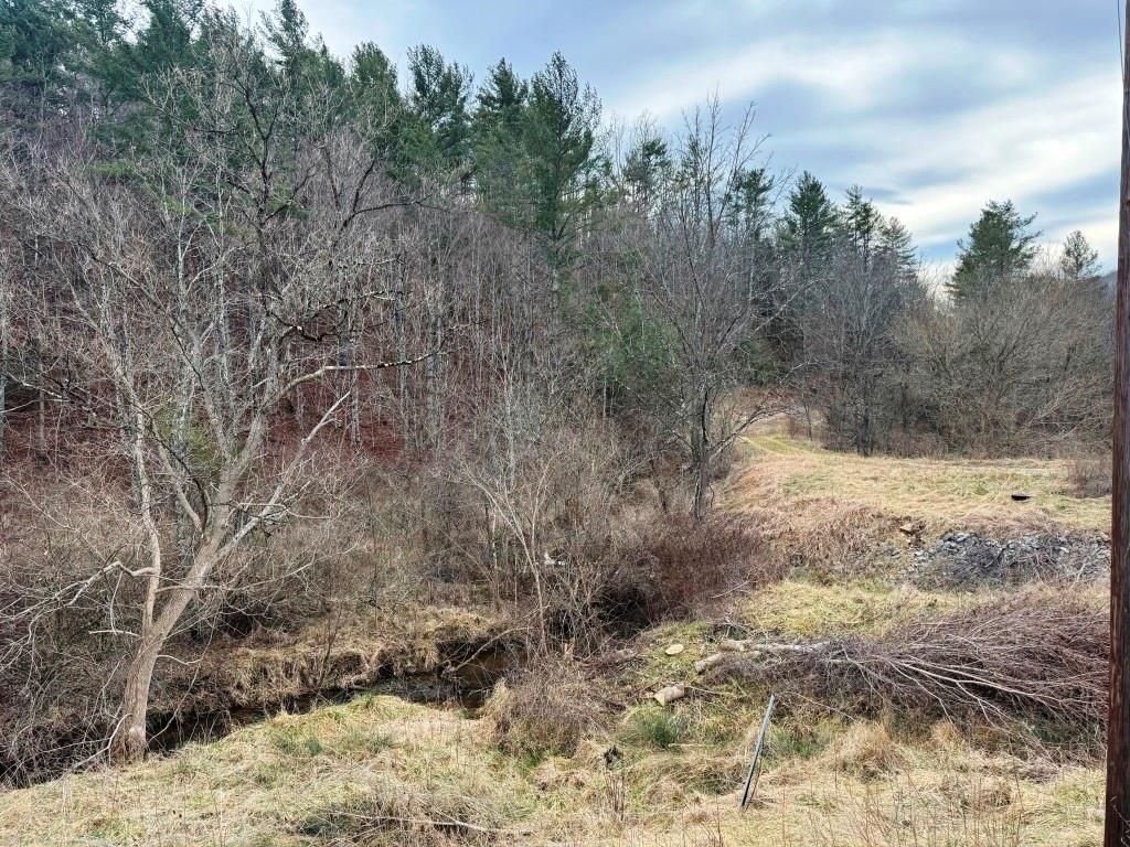 Photo of 41 E Blue Grass Trl #33, Bland, VA 24315 (MLS # 104567)