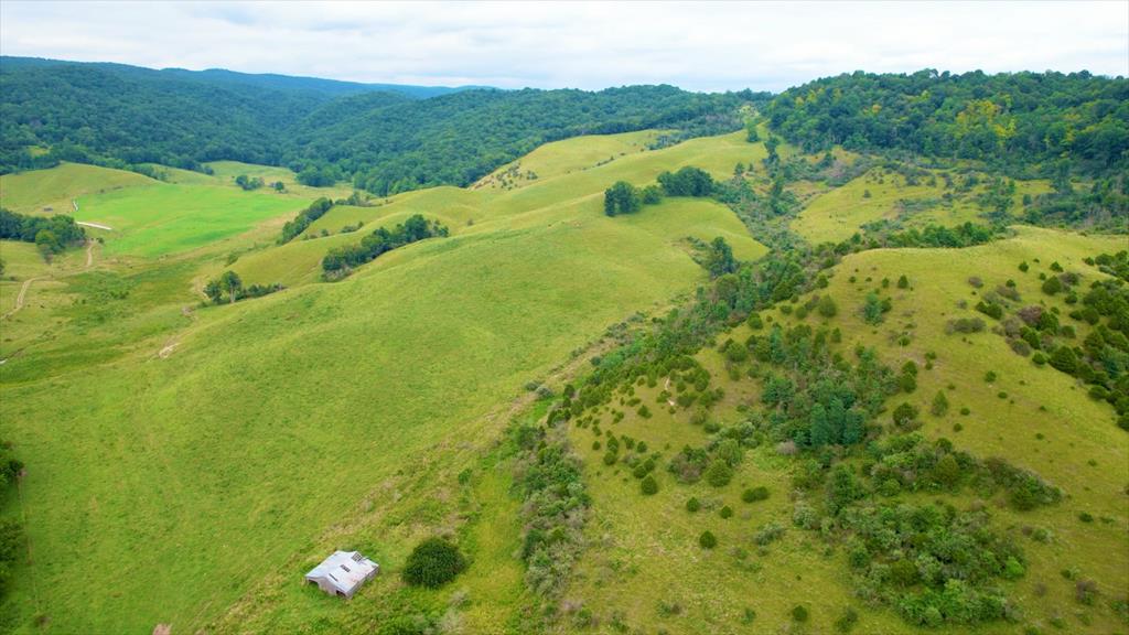 7267 BLUE GRASS TRAIL