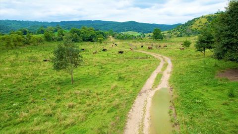 7267 BLUE GRASS TRAIL Saltville VA 24370