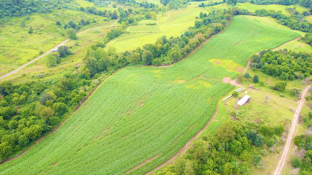 7267 BLUE GRASS TRAIL