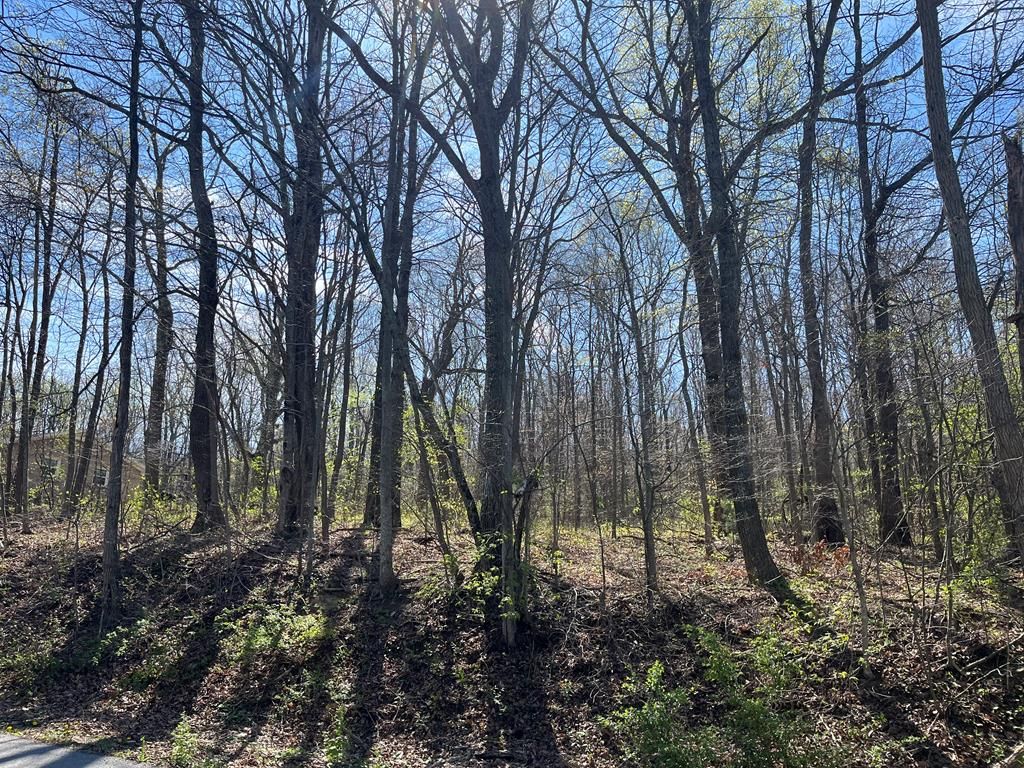 Photo of 0 Foxborough #8, North Tazewell, VA 24630 (MLS # 109823)