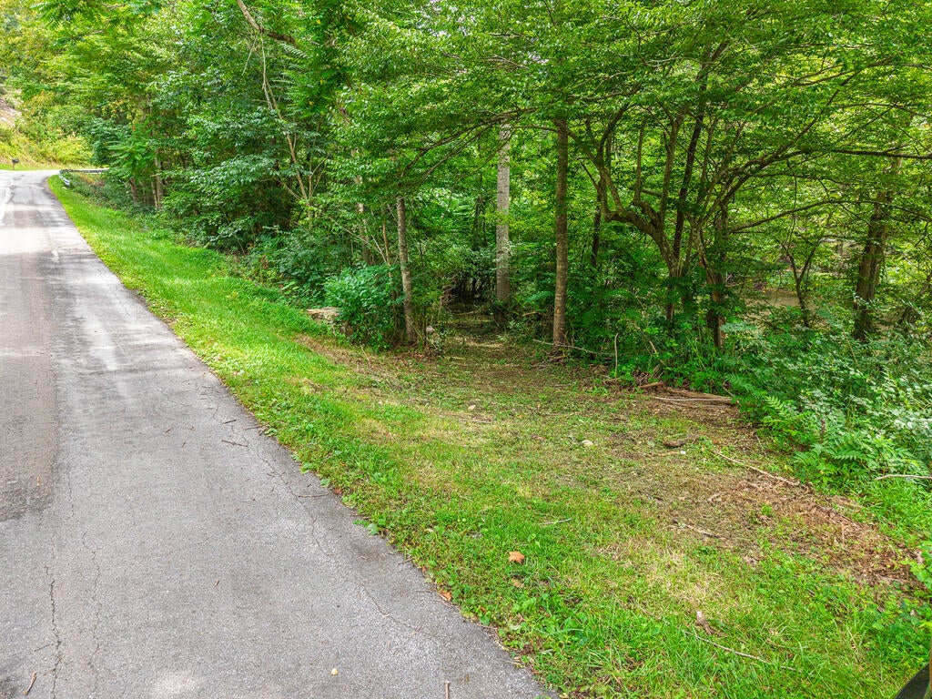 Photo of TBD Shady Branch Cir #14-A-5, Narrows, VA 24124 (MLS # 111402)