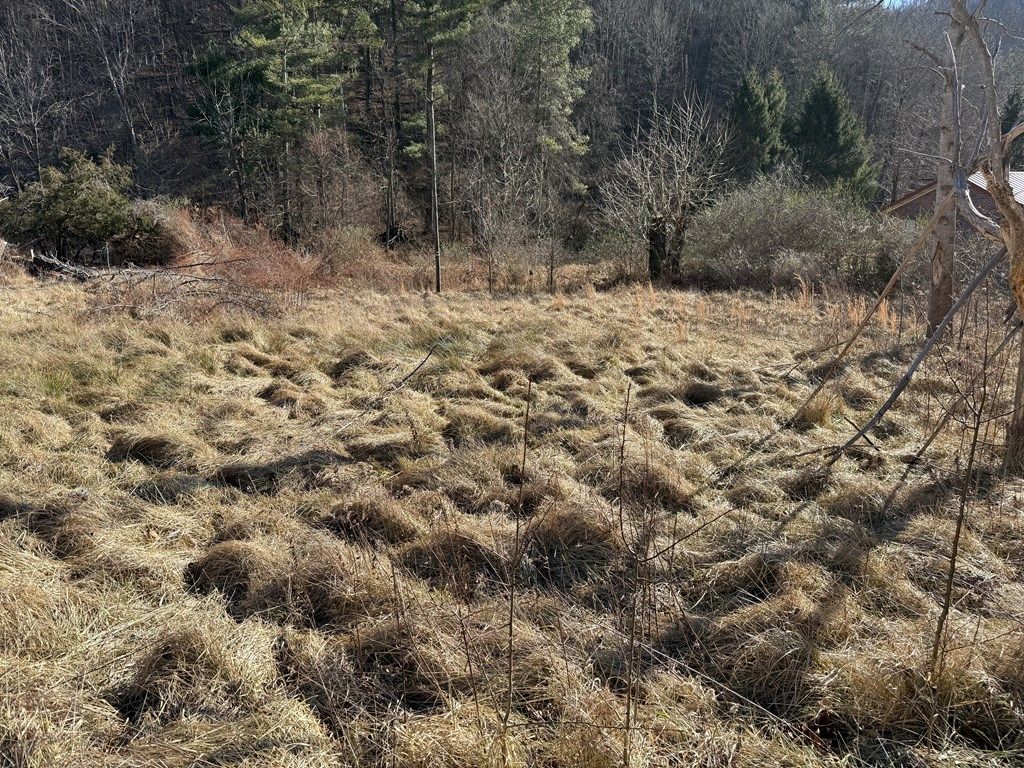 Photo of 1532 Indian Creek Rd #N/A, Cedar Bluff, VA 24609 (MLS # 104641)