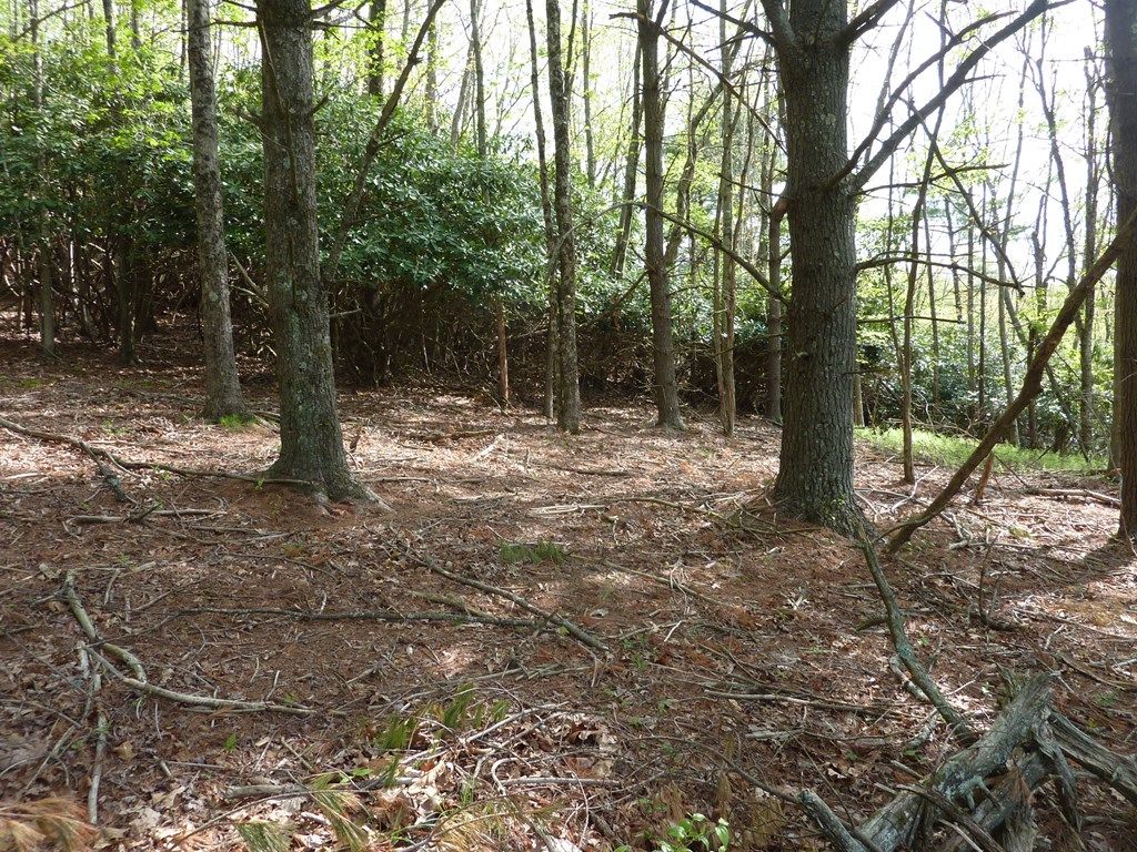 Photo of TBD Hog Mtn. Rd. SW #34 &amp; 34A, Meadows of Dan, VA 24120 (MLS # 99596)