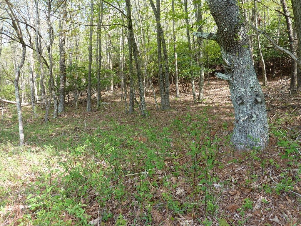 Photo of TBD Hog Mtn. Rd. SW #34 &amp; 34A, Meadows of Dan, VA 24120 (MLS # 99596)