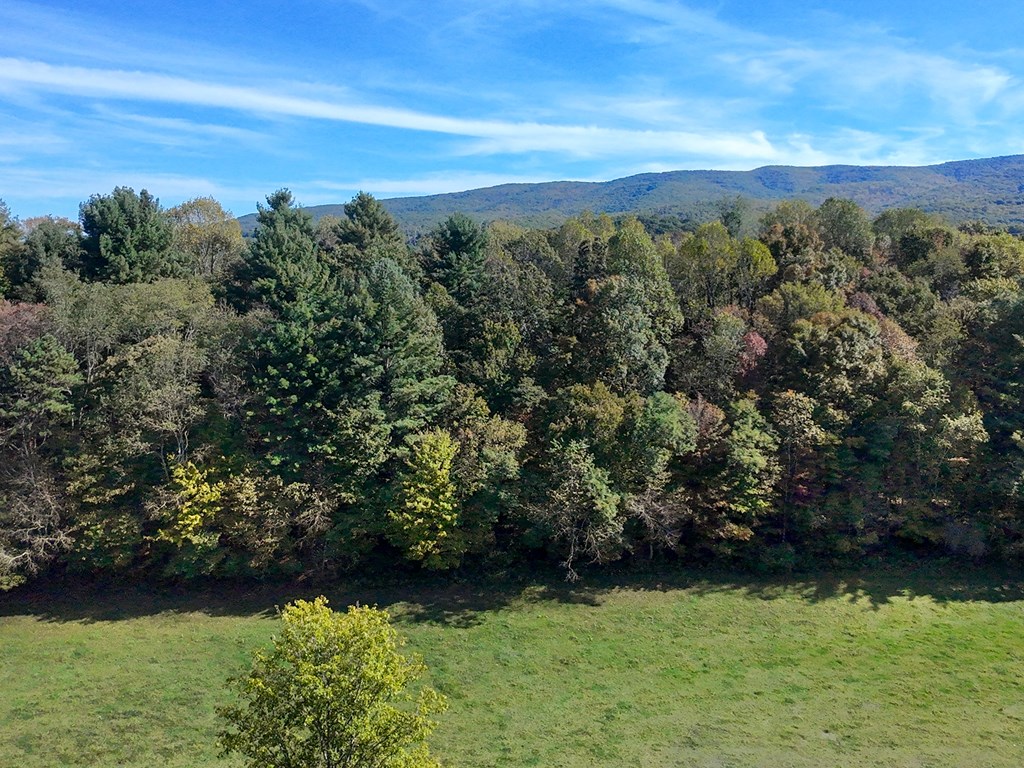 Rural Retreat, Virginia 24368, United States, ,Land,Contingent,222666