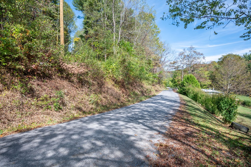 Rural Retreat, Virginia 24368, United States, ,Land,Contingent,222666