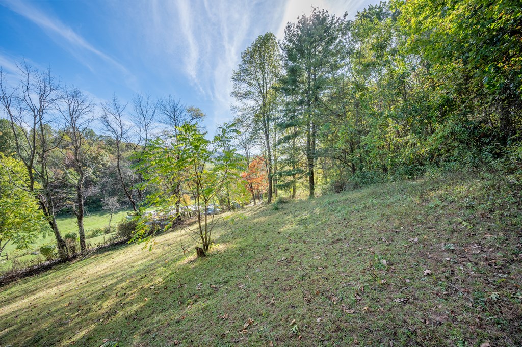 Rural Retreat, Virginia 24368, United States, ,Land,Contingent,222666