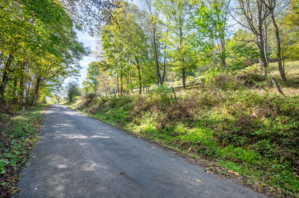 Rural Retreat, Virginia 24368, United States, ,Land,Contingent,222666