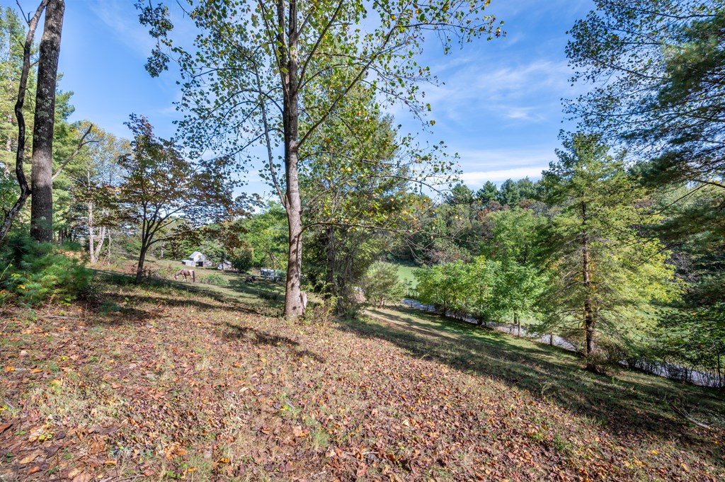 Rural Retreat, Virginia 24368, United States, ,Land,Contingent,222666