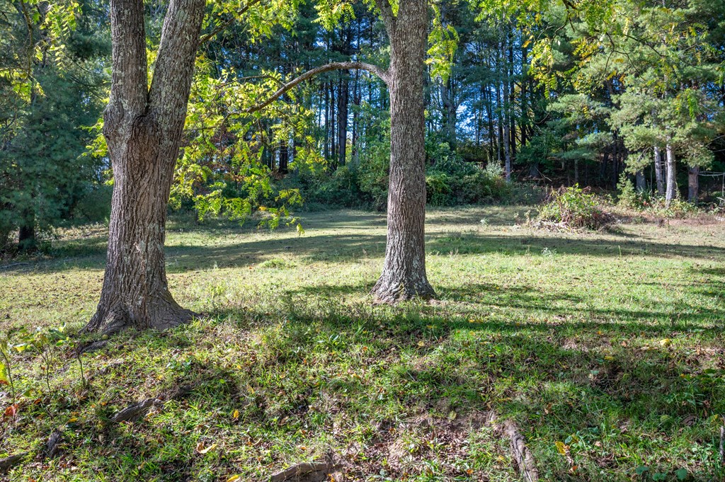 Rural Retreat, Virginia 24368, United States, ,Land,Contingent,222666
