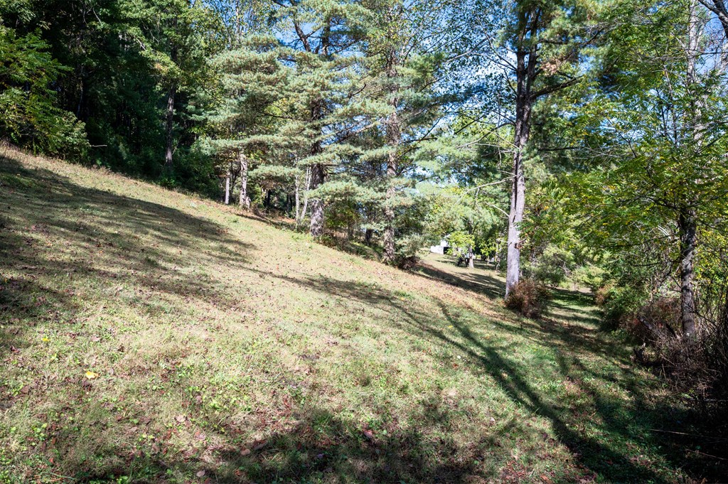 Rural Retreat, Virginia 24368, United States, ,Land,Contingent,222666