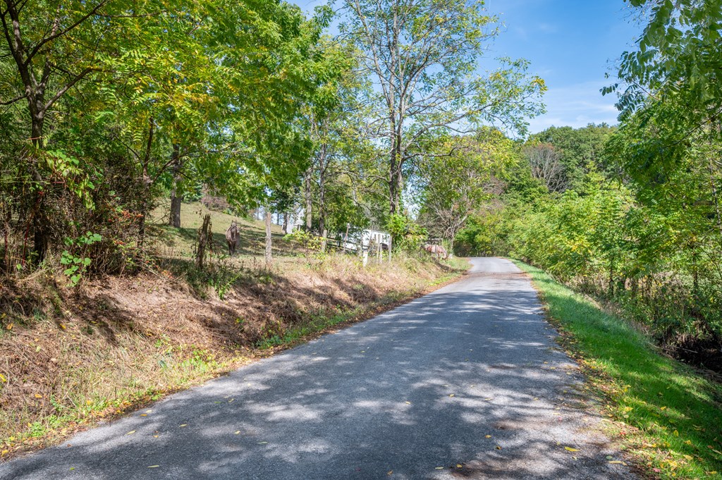 Rural Retreat, Virginia 24368, United States, ,Land,Contingent,222666
