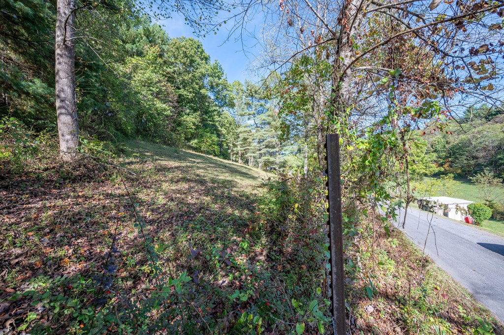 Rural Retreat, Virginia 24368, United States, ,Land,Contingent,222666