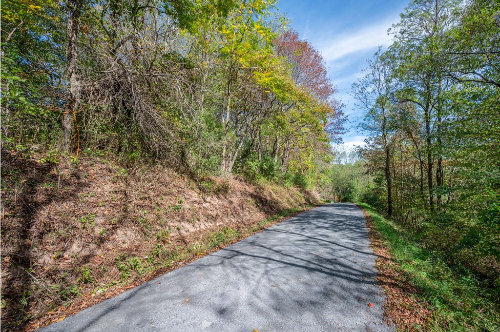 Rural Retreat, Virginia 24368, United States, ,Land,Contingent,222666