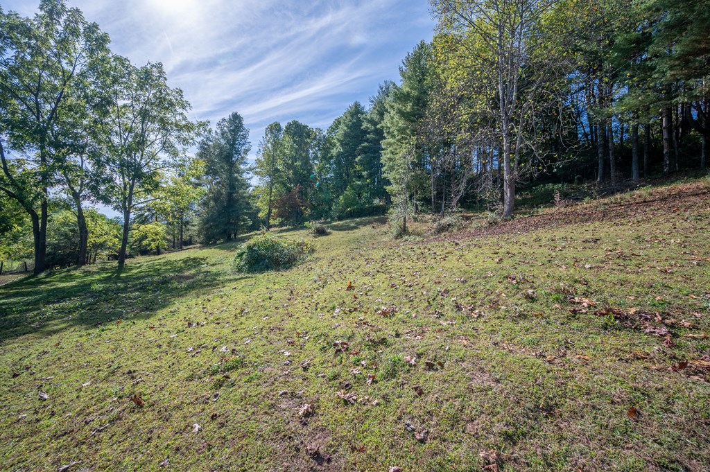 Rural Retreat, Virginia 24368, United States, ,Land,Contingent,222666