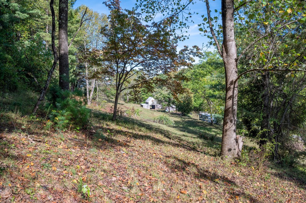 Rural Retreat, Virginia 24368, United States, ,Land,Contingent,222666