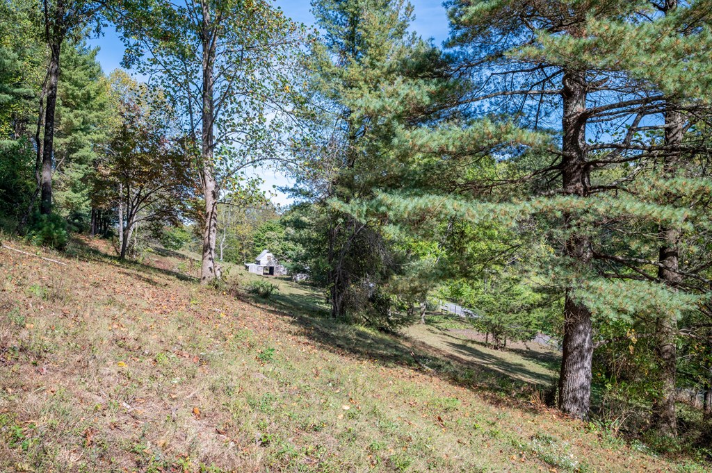 Rural Retreat, Virginia 24368, United States, ,Land,Contingent,222666