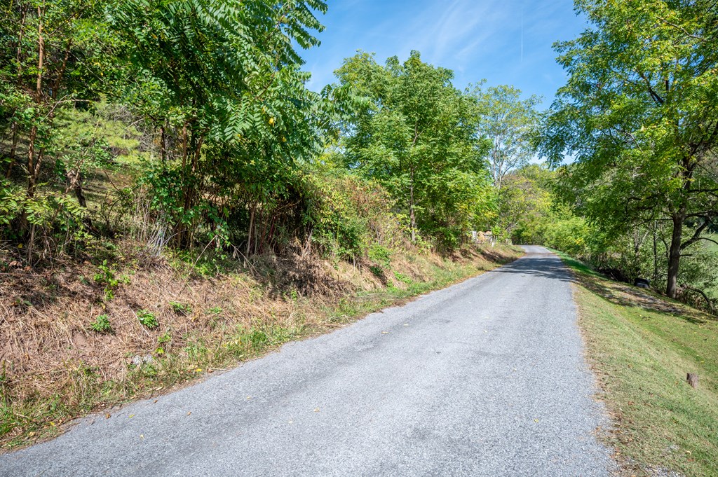 Rural Retreat, Virginia 24368, United States, ,Land,Contingent,222666