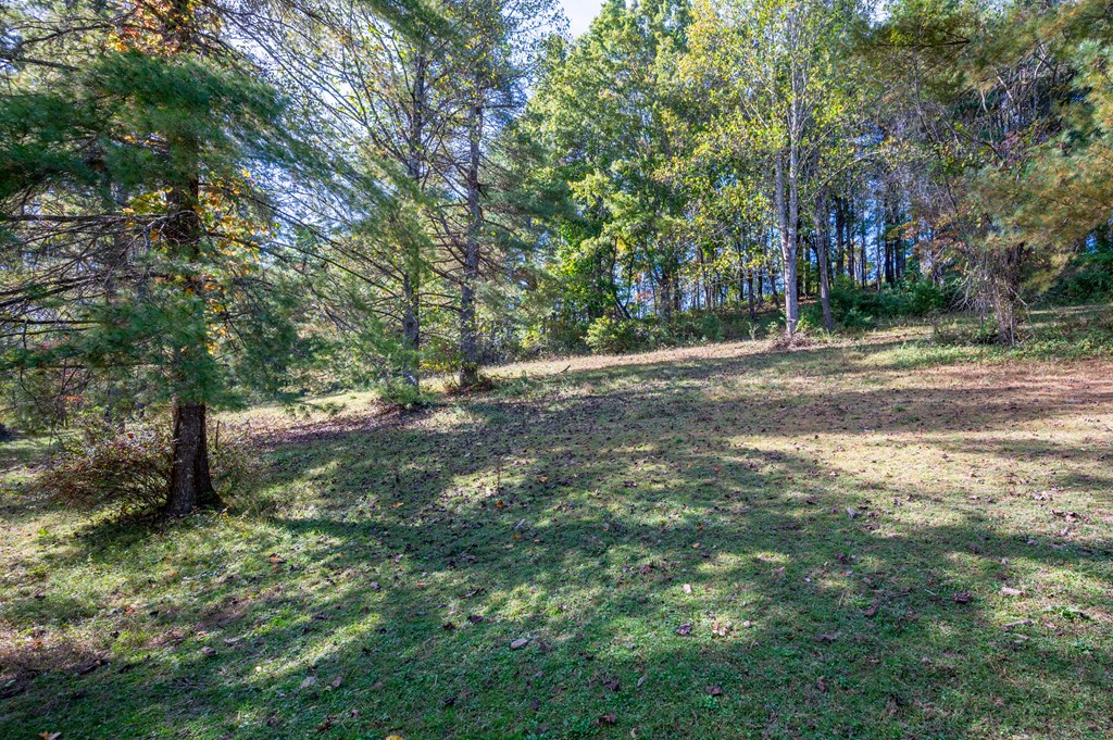 Rural Retreat, Virginia 24368, United States, ,Land,Contingent,222666