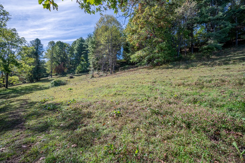 Rural Retreat, Virginia 24368, United States, ,Land,Contingent,222666