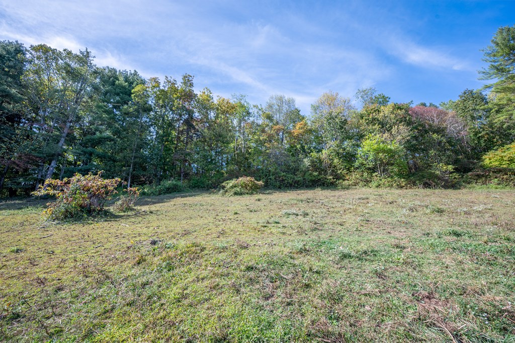 Rural Retreat, Virginia 24368, United States, ,Land,Contingent,222666