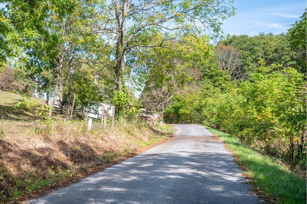 Rural Retreat, Virginia 24368, United States, ,Land,Contingent,222666
