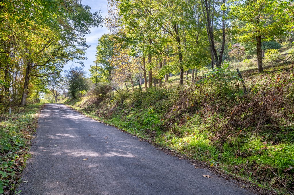 Rural Retreat, Virginia 24368, United States, ,Land,Contingent,222666