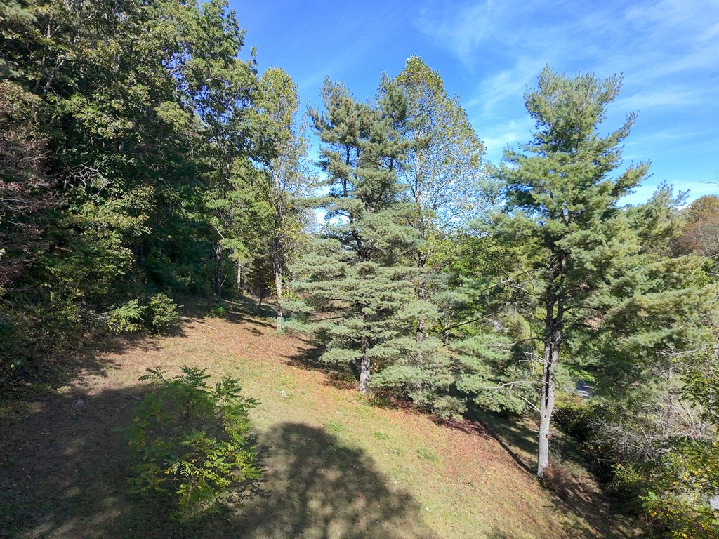 Rural Retreat, Virginia 24368, United States, ,Land,Contingent,222666