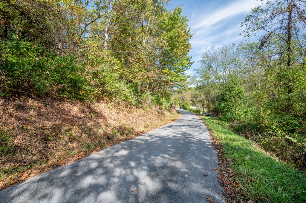 Rural Retreat, Virginia 24368, United States, ,Land,Contingent,222666