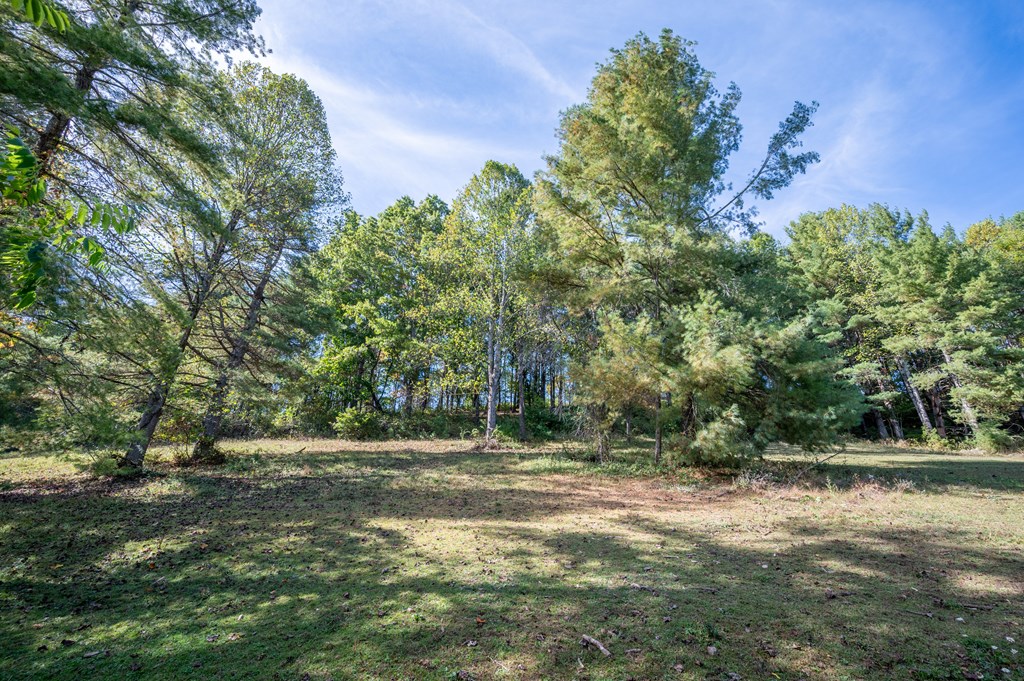 Rural Retreat, Virginia 24368, United States, ,Land,Contingent,222666