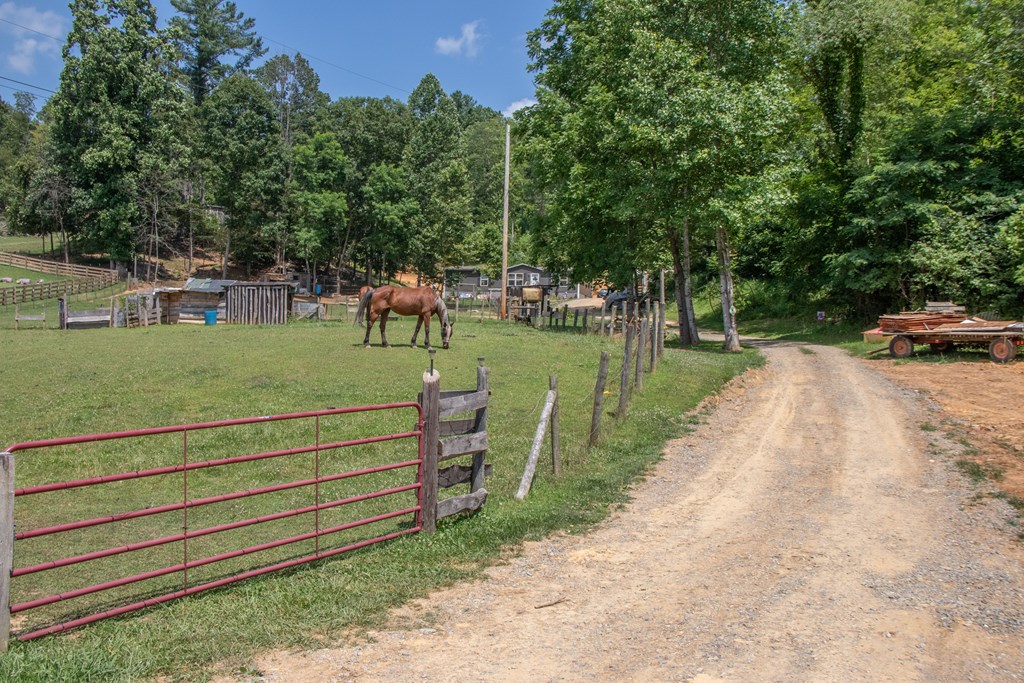Abingdon, Virginia 24211, United States, 3 Bedrooms Bedrooms, ,2 BathroomsBathrooms,Residential,Active,167248