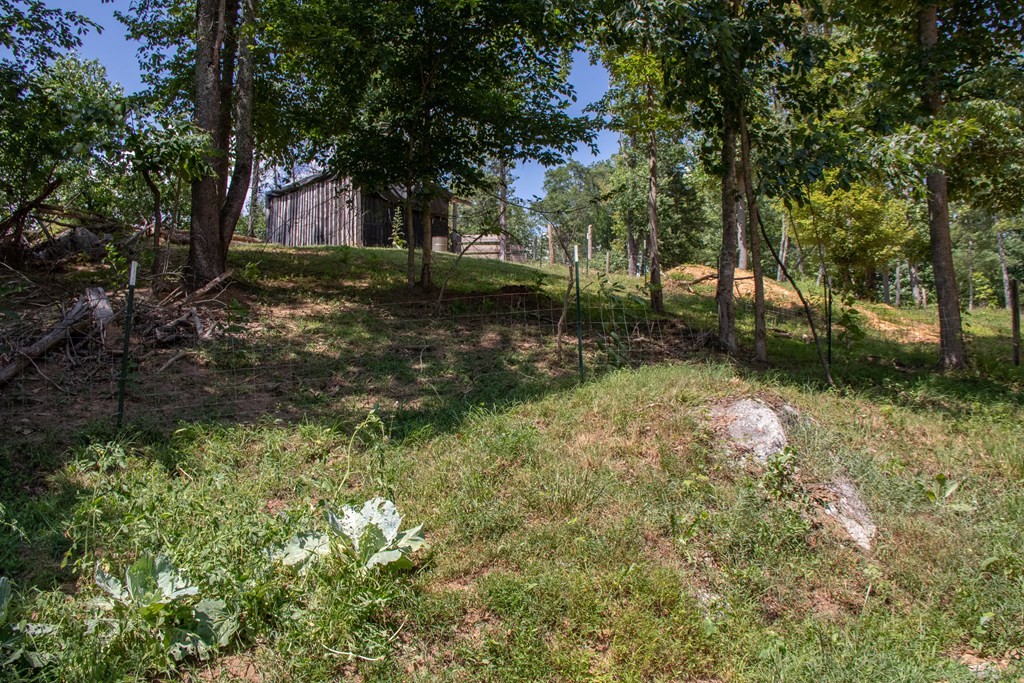 Abingdon, Virginia 24211, United States, 3 Bedrooms Bedrooms, ,2 BathroomsBathrooms,Residential,Active,167248