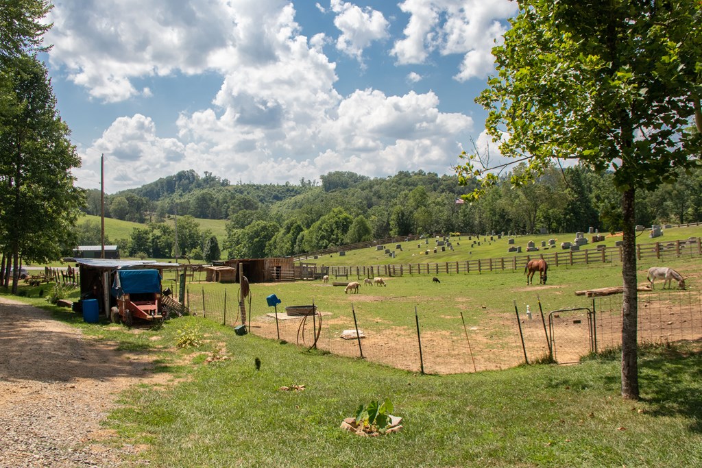 Abingdon, Virginia 24211, United States, 3 Bedrooms Bedrooms, ,2 BathroomsBathrooms,Residential,Active,167248