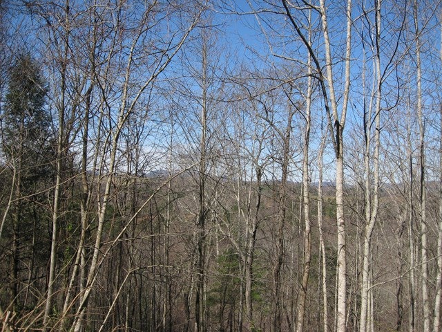 Photo of TBD Grapevine Lane #42, Woodlawn, VA 24381 (MLS # 111863)