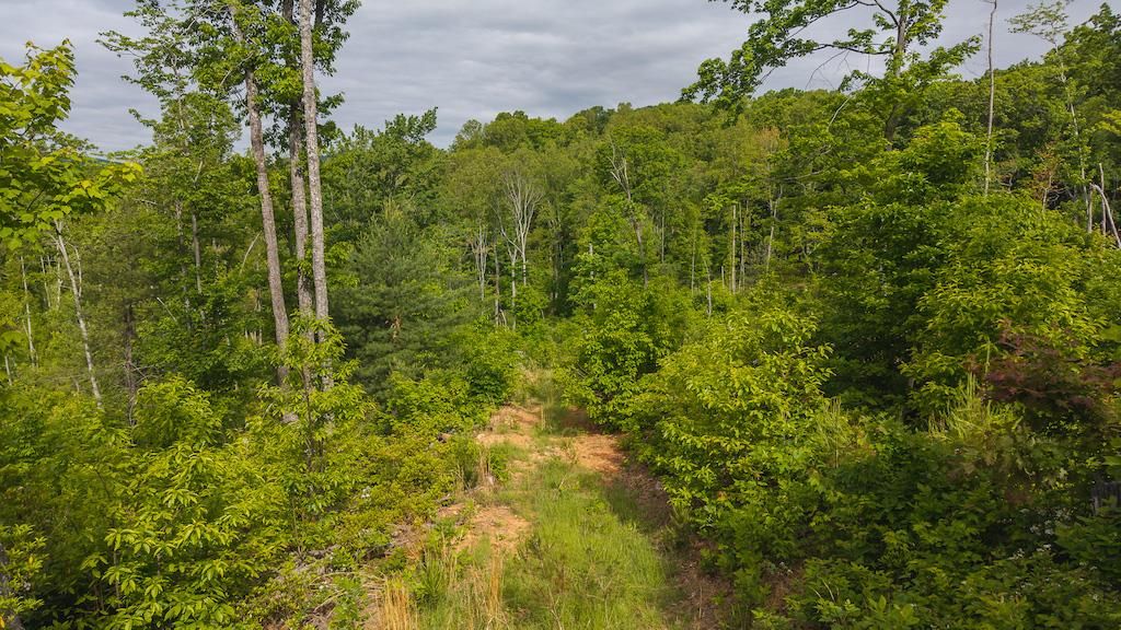 Photo of 2 Shortcut Dr #2, Woolwine, VA 24185 (MLS # 100510)
