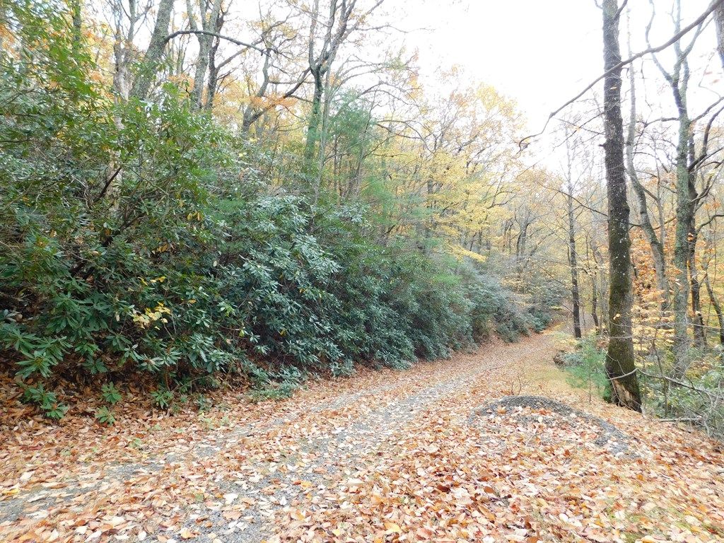 Photo of 3031 Black Gum Trail #F30-F31, Fancy Gap, VA 24328 (MLS # 105849)